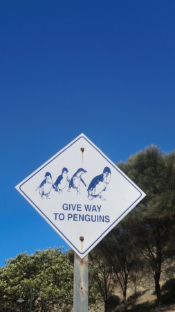 Adelaide - Victor harbor